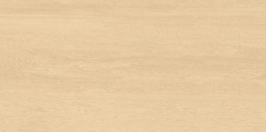 skywood SR5044B 60X60 1 300x149 1