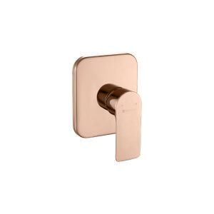 CONCEALED SHOWER MIXER SRTWT6863-FRG