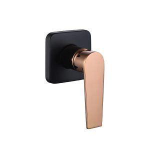 CONCEALED BATH SHOWER COLD TAP SRTWT8248-RG